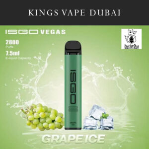 ISGO Vegas Grape Ice 2800pfs 2%