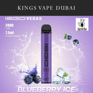 ISGO Vegas Blueberry Ice 2800pfs 2%